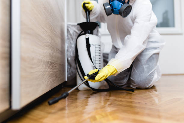  Johnson City, NY Pest Control Pros