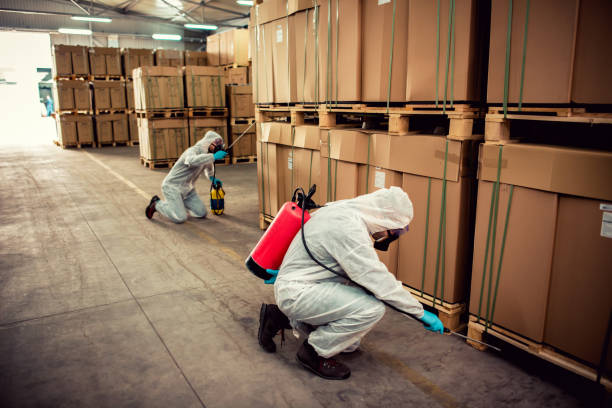 Best Termite Control Services  in Johnson City, NY