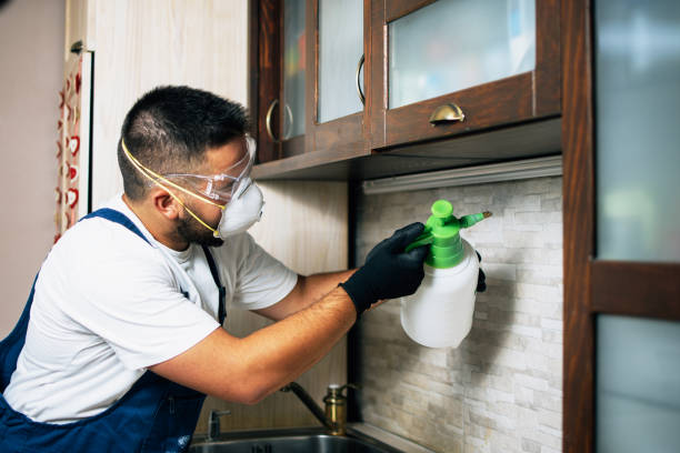 Best Rat Extermination Near Me  in Johnson City, NY