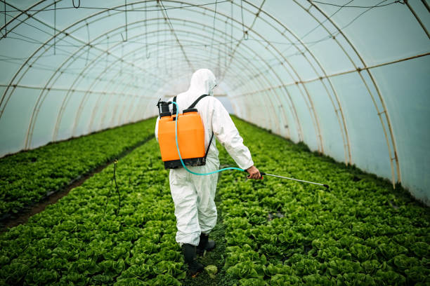 Best Pest Control for Businesses  in Johnson City, NY