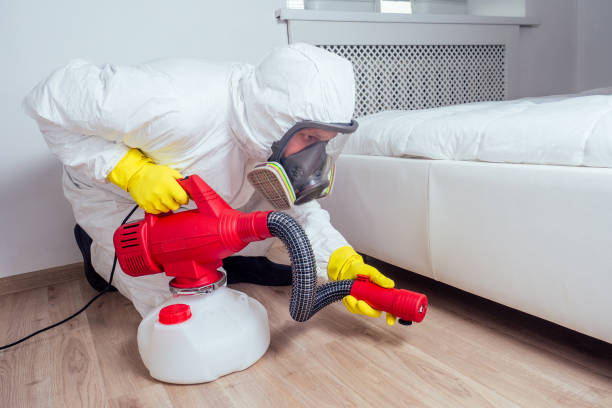 Best Flea Control Services  in Johnson City, NY