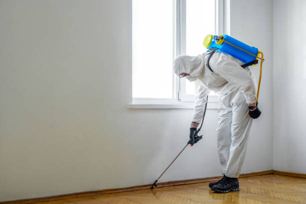 Best Exterminator Services  in Johnson City, NY