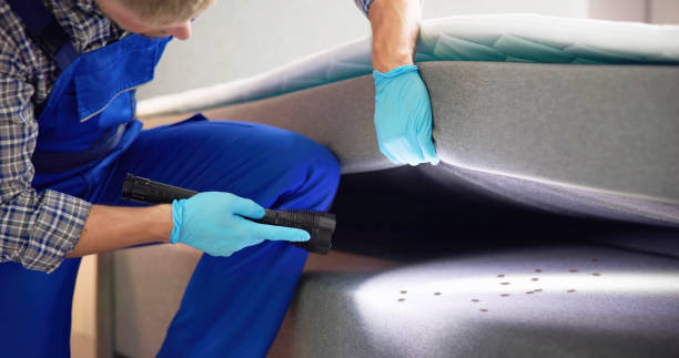 Best Affordable Pest Control Services  in Johnson City, NY