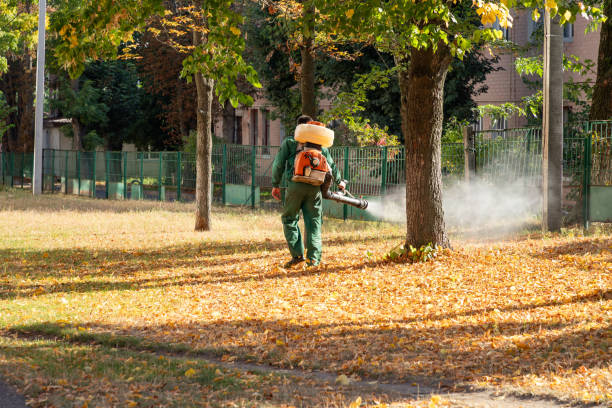 Best Mosquito Control Services  in Johnson City, NY