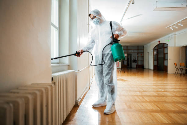Best Cockroach Control Services  in Johnson City, NY
