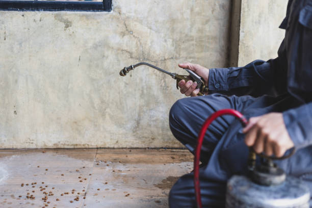 Best Affordable Pest Control Services  in Johnson City, NY